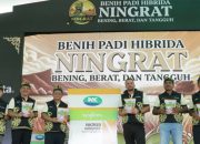 Syngenta Indonesia Luncurkan Benih Padi Hibrida Ningrat NK2133, Dukung Peningkatan Produktivitas Nasional