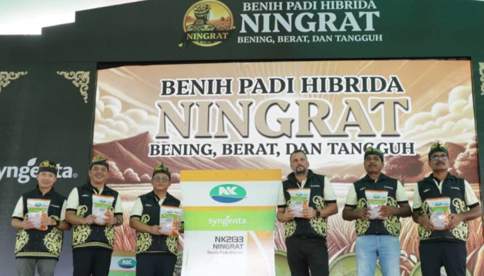 Syngenta Indonesia Luncurkan Benih Padi Hibrida Ningrat NK2133, Dukung Peningkatan Produktivitas Nasional