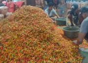 Harga Cabai Rawit di Kediri Naik, Pasokan Turun