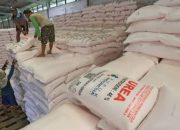 Atasi Kecurangan, Tuban Terapkan Pengawasan Berlapis Pupuk Subsidi