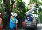 PLN UID Jatim Perkuat Keandalan Listrik di Tuban dengan Pemeliharaan Tanpa Padam