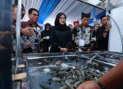 Ratusan Pelaku Industri Udang Bahas Ekspor ke AS dalam Shrimp Fair 2025 di Banyuwangi