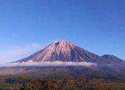 BPBD Lumajang: Jutaan Meter Kubik Material Vulkanik Semeru Mengancam Warga