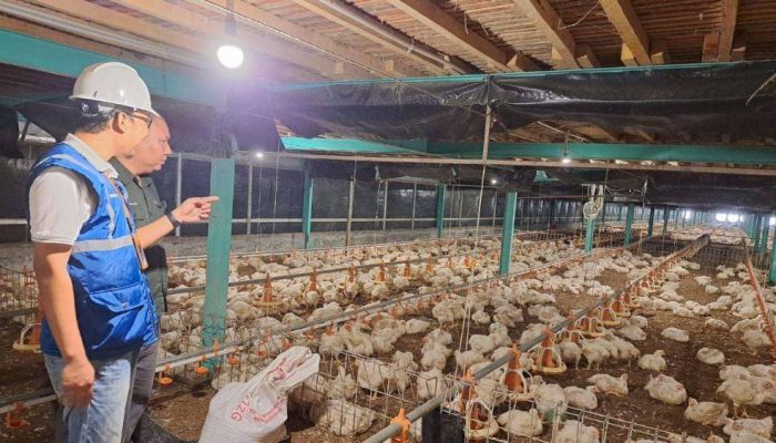 Tarif Listrik Awal 2026 Tetap, Pemerintah Jaga Daya Beli Masyarakat