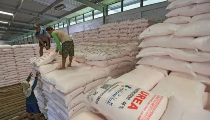 Pemerintah Pertahankan Alokasi Pupuk Subsidi 9,55 Juta Ton Tahun 2026