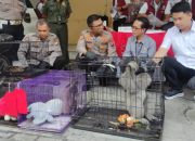 Jual Beli Satwa Dilindungi Lewat Medsos Dibongkar Polisi, Diduga Terhubung Jaringan Global