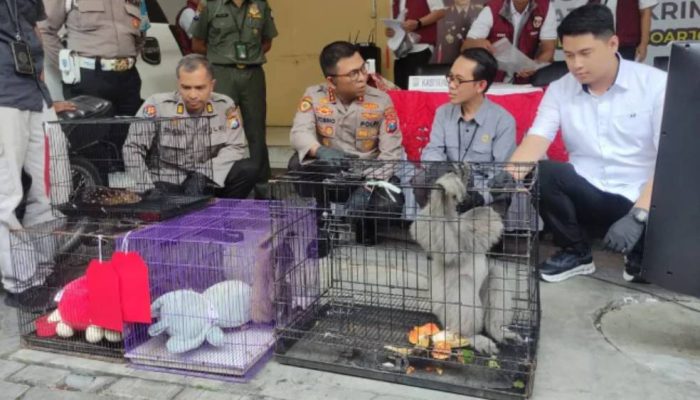 Jual Beli Satwa Dilindungi Lewat Medsos Dibongkar Polisi, Diduga Terhubung Jaringan Global