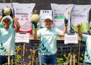 Program Pestani Petrokimia Gresik Dongkrak Produktivitas Melon Pantura hingga 10 Persen