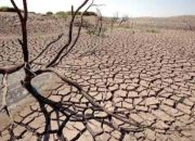 Jadwal Kemarau 2026 Dirilis BMKG, Datang Lebih Cepat dari Normal