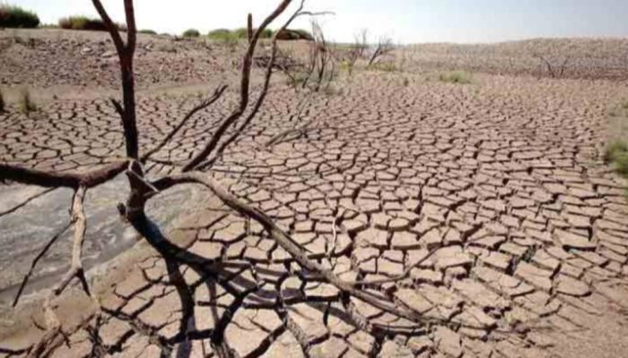 Jadwal Kemarau 2026 Dirilis BMKG, Datang Lebih Cepat dari Normal