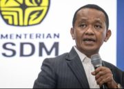 Pemerintah Siapkan Sumatra Jadi Hub Cadangan Minyak ASEAN