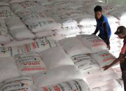 Pupuk Indonesia Bidik Ekspor Urea 500 Ribu Ton ke Australia