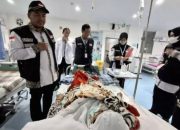 Jemaah Haji Diminta Aktifkan JKN demi Akses Layanan Kesehatan