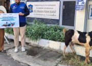 TPS dan LMI Kembali Berkolaborasi, Tebar Ribuan Paket Daging Kurban di Momen Idul Adha