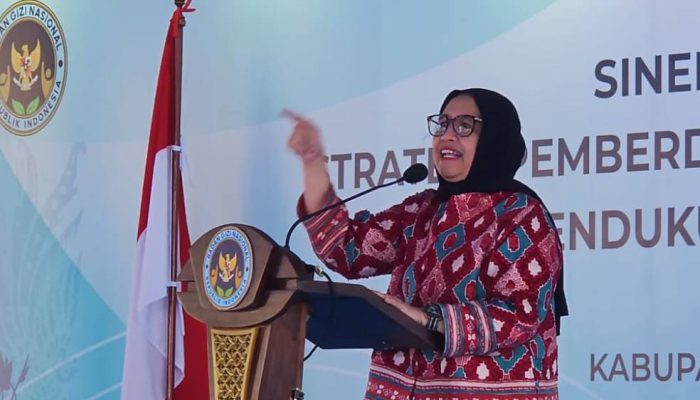 Nanik Sudaryati Deyang Resmi Pimpin Badan Gizi Nasional, Gantikan Dadan Hindayana