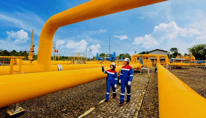 PGN Fokus Bangun Nilai Jangka Panjang bagi Pemegang Saham dan Ketahanan Energi Nasional