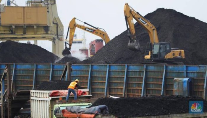 SPK TKBM di KSOP Satui Dipersoalkan, Pengusaha Minta Kepastian Hukum