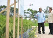 Ketahanan Pangan Menguat, NTP Pecahkan Rekor 34 Tahun di Era Prabowo