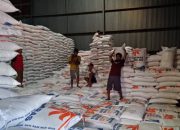 Stok Beras Bulog Banyuwangi Tembus 129 Ribu Ton, Suplai Papua, NTT hingga Bali