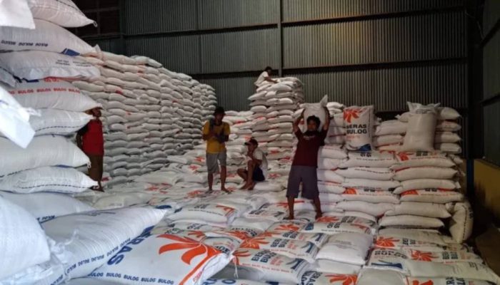 Stok Beras Bulog Banyuwangi Tembus 129 Ribu Ton, Suplai Papua, NTT hingga Bali