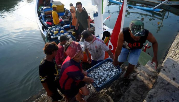 ASEAN-ID Blue Digelar di Banyuwangi, Delegasi Internasional Pelajari Pengelolaan Laut Berkelanjutan