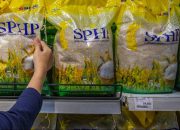 Pemerintah Percepat Penyaluran Beras SPHP, Stok CPP 5 Juta Ton Disiapkan Hadapi El Nino