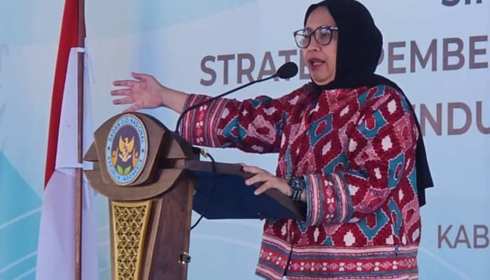 Jalani Pengobatan Jantung, Nanik S Deyang Lepas Jabatan Kepala BGN