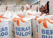 Serapan Beras BULOG Capai 3,5 Juta Ton, Optimistis Target 4 Juta Ton Segera Terlampaui