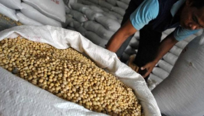 Kemenko Pangan Siapkan 10 Langkah Percepat Swasembada Kedelai, Fokus Kurangi Ketergantungan Impor