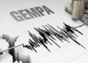 Gempa M 2,4 Guncang Pacitan, BMKG Sebut Tidak Berpotensi Tsunami