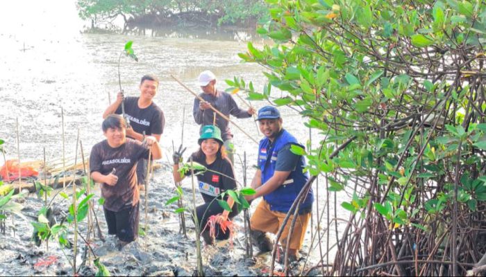 TPS Salurkan 3.000 Bibit Mangrove ke DLH Surabaya untuk Penghijauan Tambak Sarioso