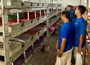 TTL Raih Gold TJSL & CSR Award 2026 Berkat Program Budidaya Kepiting Soka