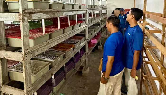TTL Raih Gold TJSL & CSR Award 2026 Berkat Program Budidaya Kepiting Soka