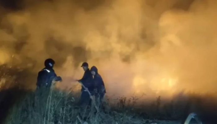 Masuki Puncak Kemarau, 4 Kecamatan Banyuwangi Rawan Karhutla