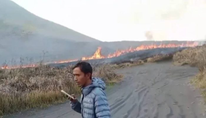 Bukit Watangan TNBTS Terbakar, Petugas dan Relawan Berjibaku Padamkan Api