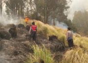 Tim Khusus Kementerian Kehutanan Selidiki Dugaan Pidana di Balik Kebakaran Gunung Bromo