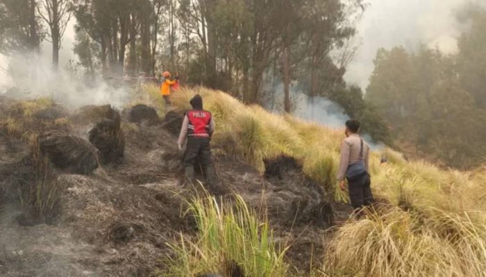 Tim Khusus Kementerian Kehutanan Selidiki Dugaan Pidana di Balik Kebakaran Gunung Bromo