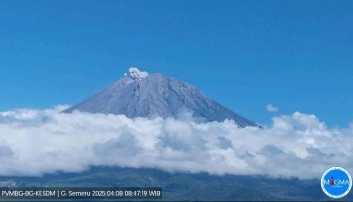 Semeru Erupsi Lagi, PVMBG Ingatkan Bahaya Awan Panas dan Lahar