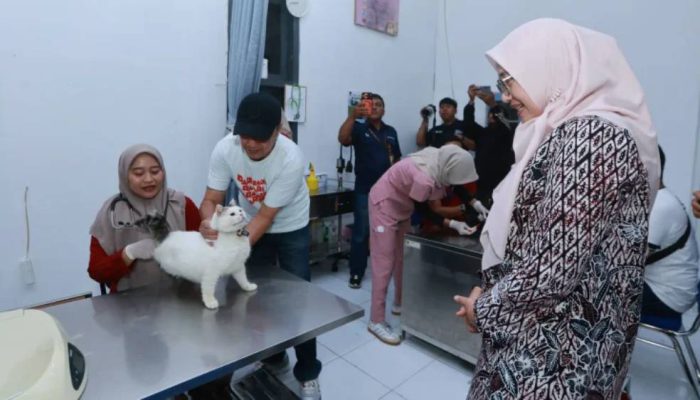 Cegah Rabies, Pemkab Banyuwangi Gelar Vaksinasi Gratis untuk Ratusan Hewan
