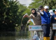 Kali Tebu Surabaya Dipenuhi Sampah, 3,12 Ton Diangkut dalam Aksi Hari Sungai Sedunia