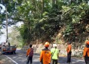 Retakan Jalan 30 Meter di Gunung Gumitir Picu Kewaspadaan Jelang Musim Hujan