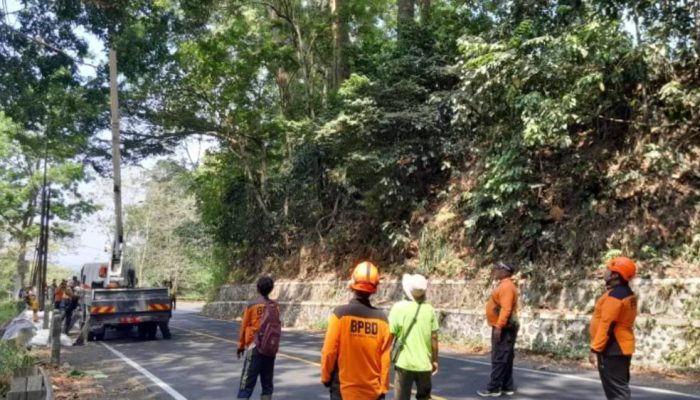 Retakan Jalan 30 Meter di Gunung Gumitir Picu Kewaspadaan Jelang Musim Hujan