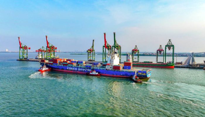 Pascamerger Pelindo, Terminal Teluk Lamong Percepat Transformasi dan Efisiensi Layanan